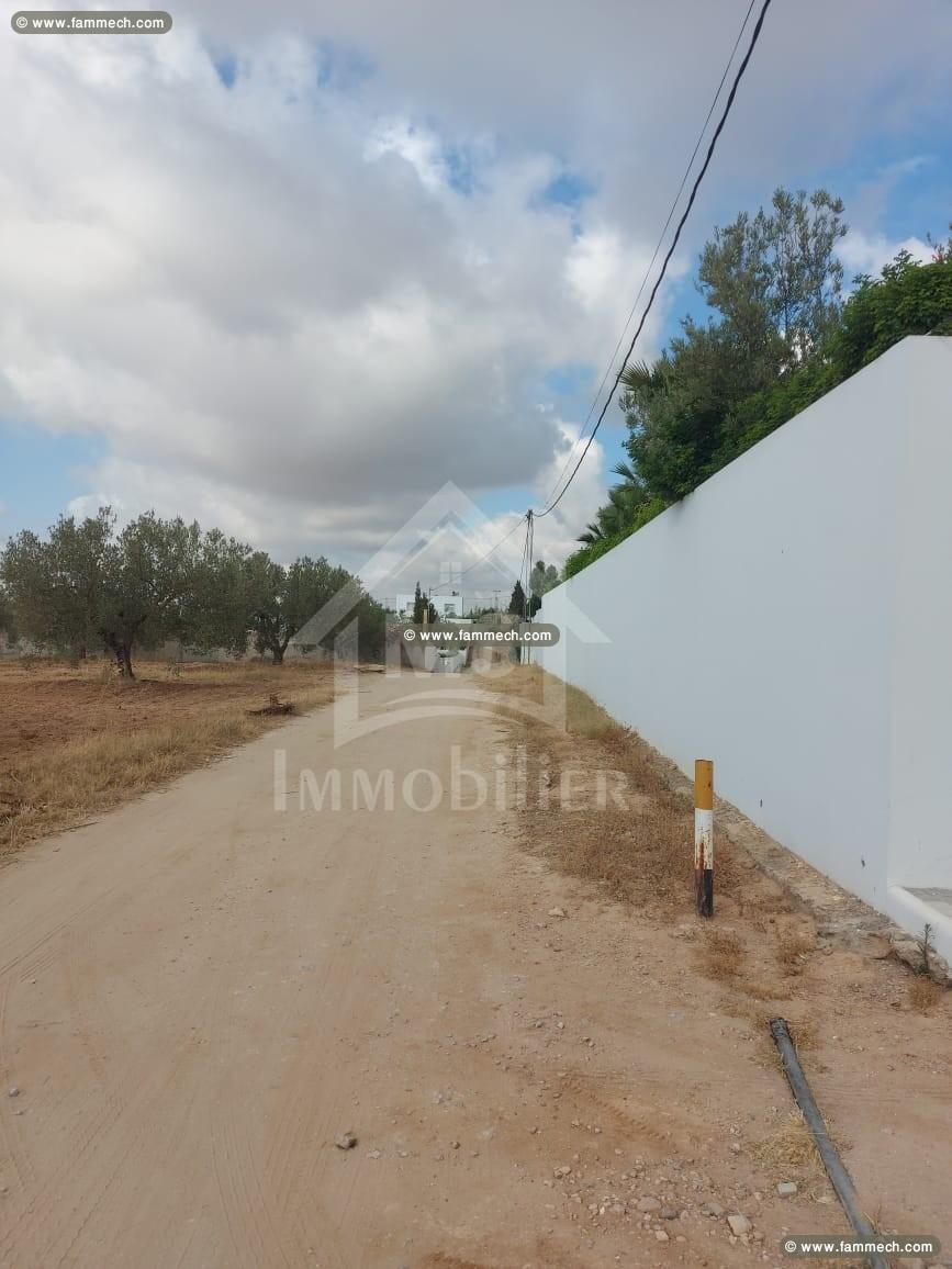 Un terrain clôturé à Hammamet Sud à vendre 