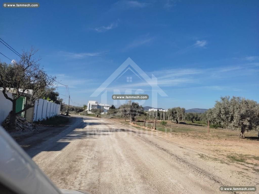 Un terrain clôturé à vendre à Hammamet Sud à 190MD