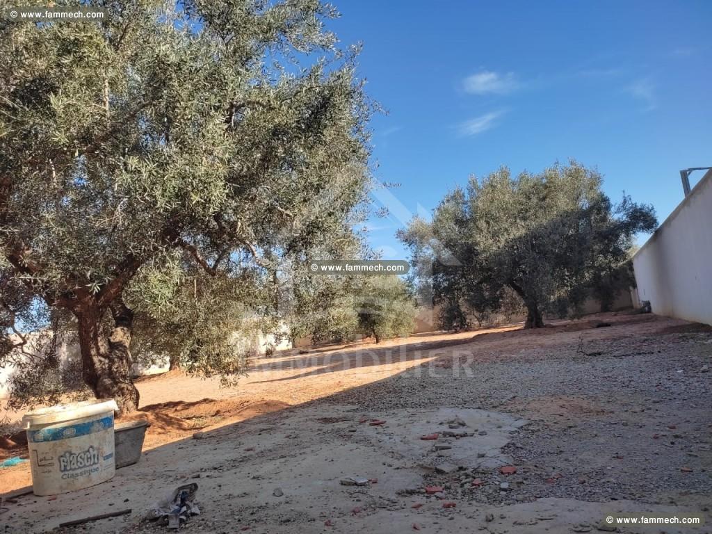 Un terrain clôturé à vendre à Hammamet Sud à 190MD