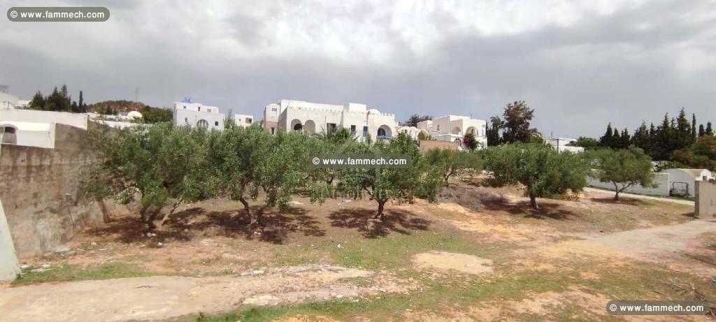 Un terrain clôturé à vendre à Hammamet Nord 513553