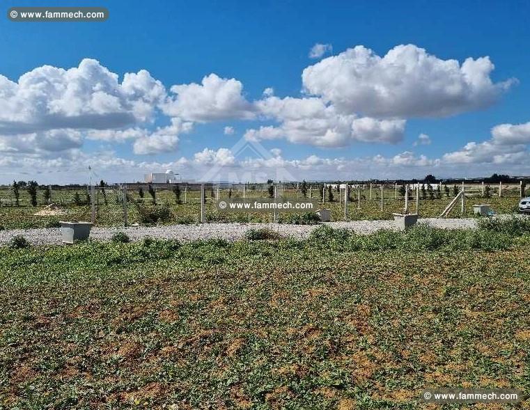 Un terrain clôturé de 1000 m² à vendre à Hammamet 