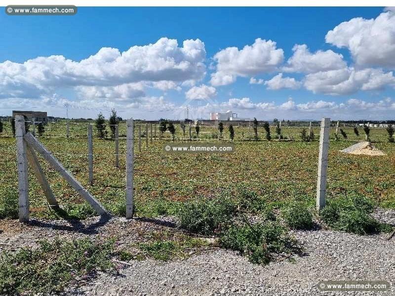 Un terrain clôturé de 1000 m² à vendre à Hammamet 