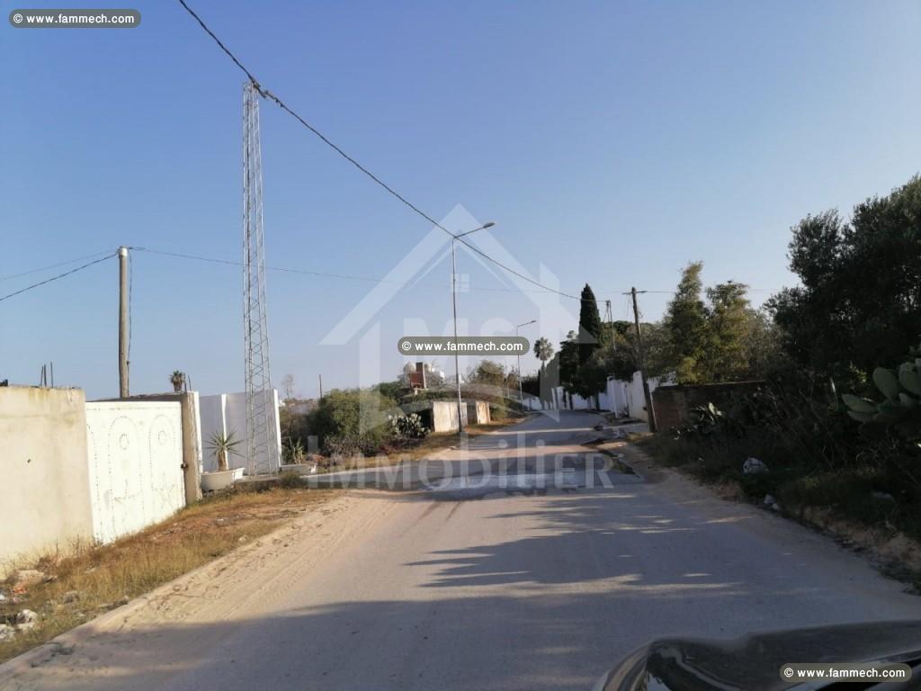 Un terrain de 1000 m² à vendre à 180 MD à Hammamet
