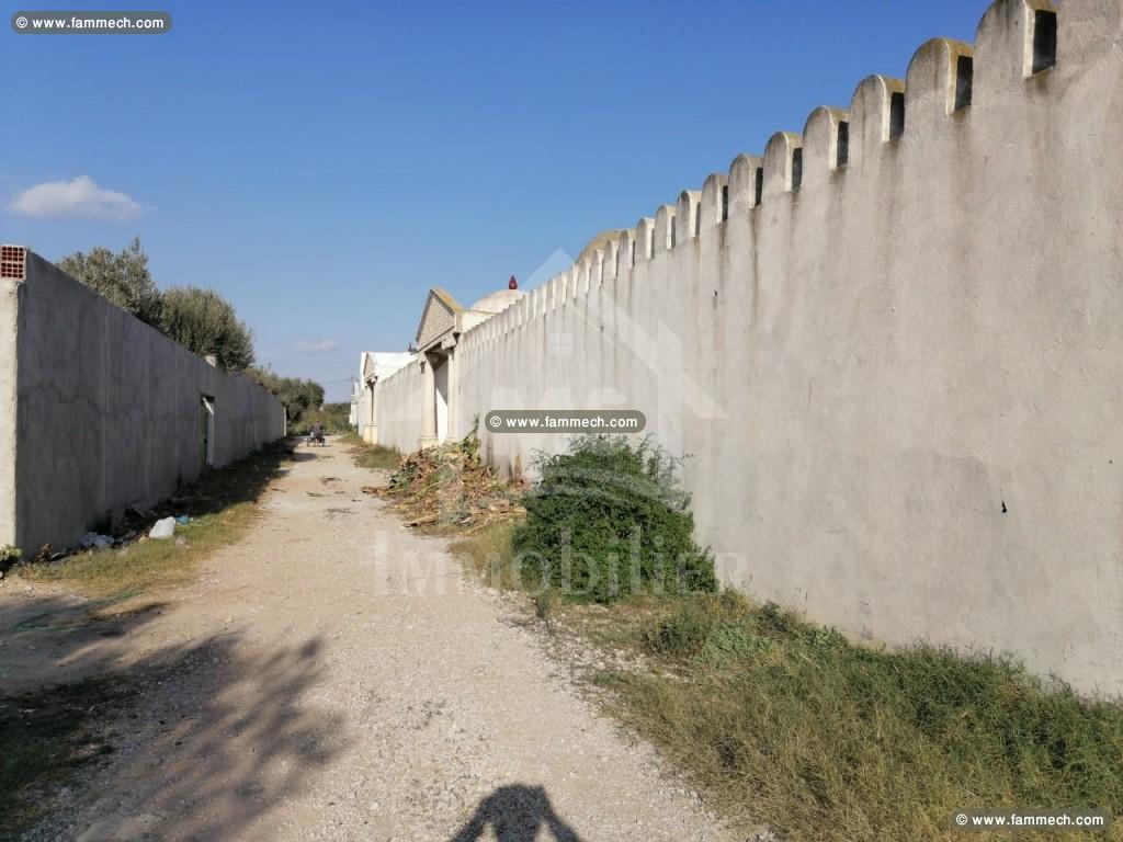 Un terrain de 1000 m² à vendre à 180 MD à Hammamet