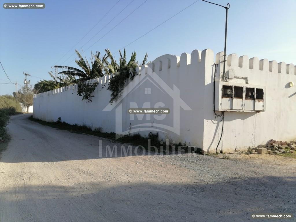 Un terrain de 1000 m² à vendre à 180 MD à Hammamet