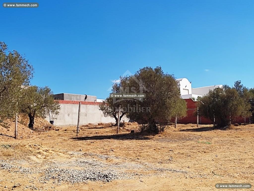 Un terrain de 1000 m² à vendre à 160 dt/m² 5135535