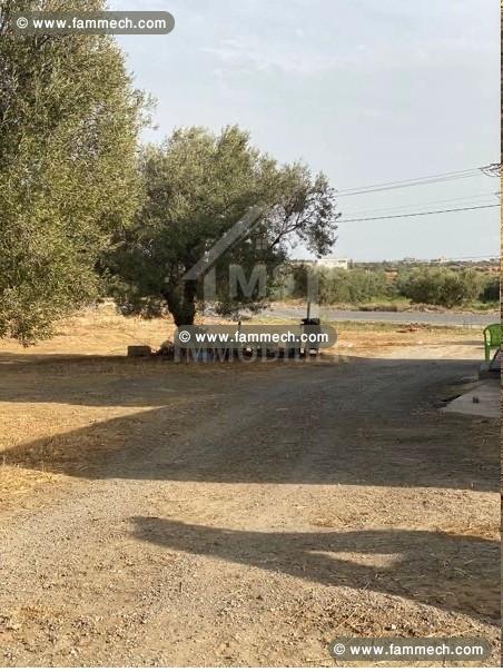 Un terrain de 1000 m² à vendre à 160 MD 51355351