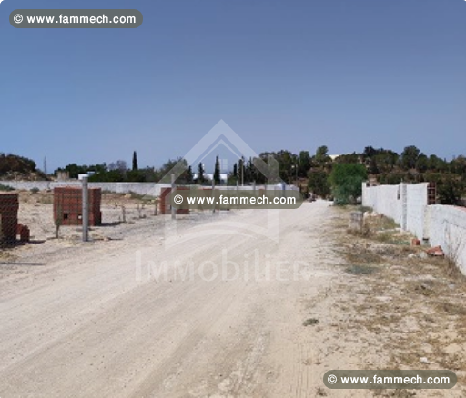 Un terrain de 1000 m² à vendre à Hammamet 51355351