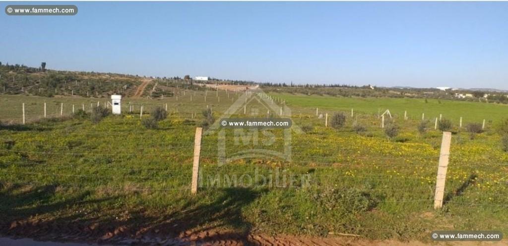 Un terrain de 1000 m² à vendre à 85 MD 51355351