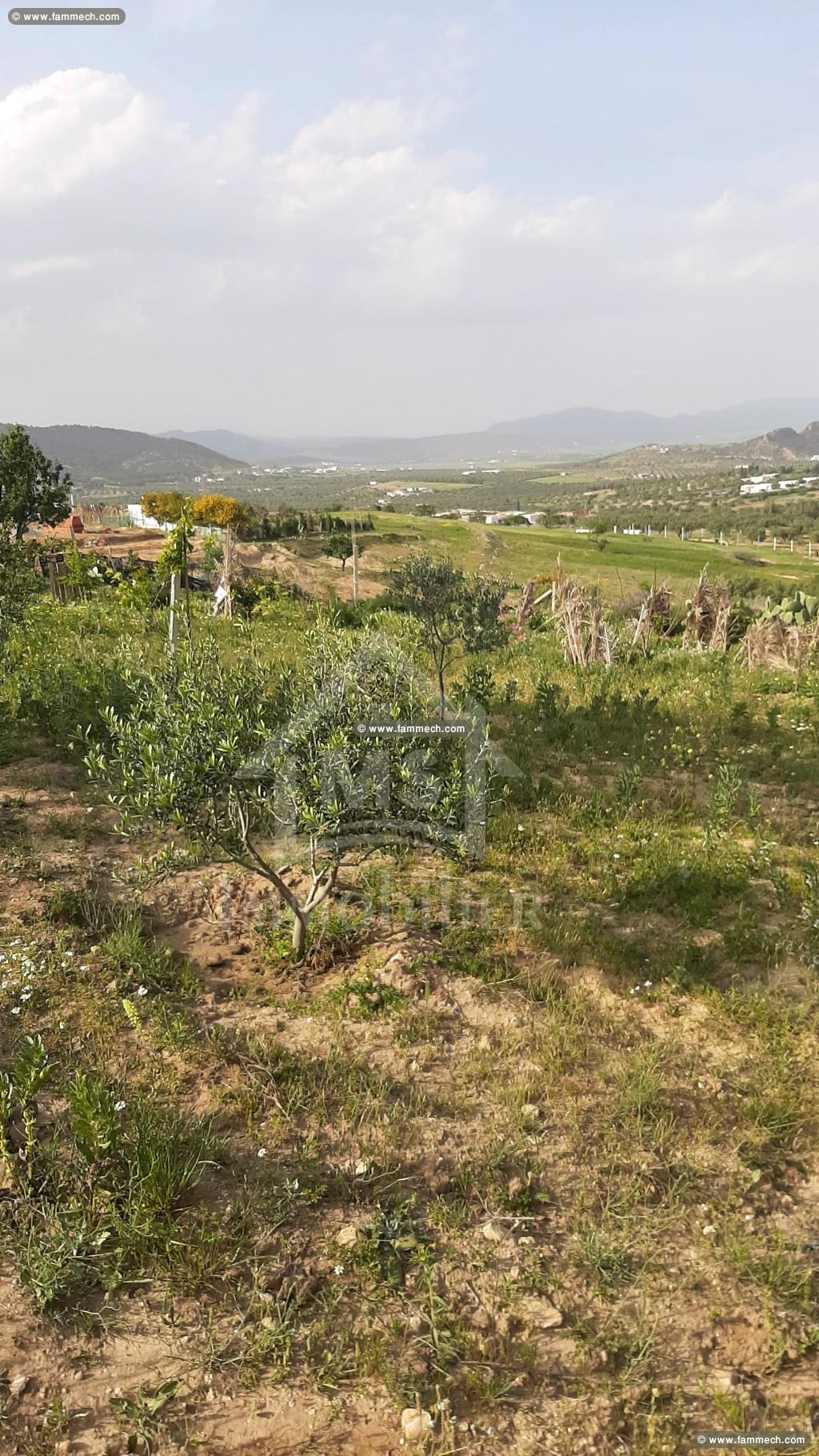 Un terrain de 1000 m² à vendre à 55 MD 51355351