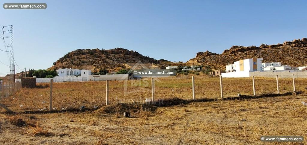 Un terrain de 1000 m² à vendre 51355351