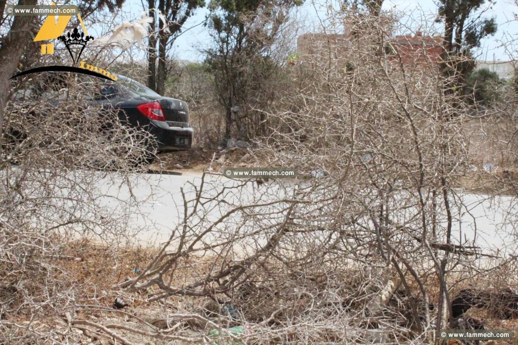 Un Terrain de 135 m² à mansoura_kélibia
