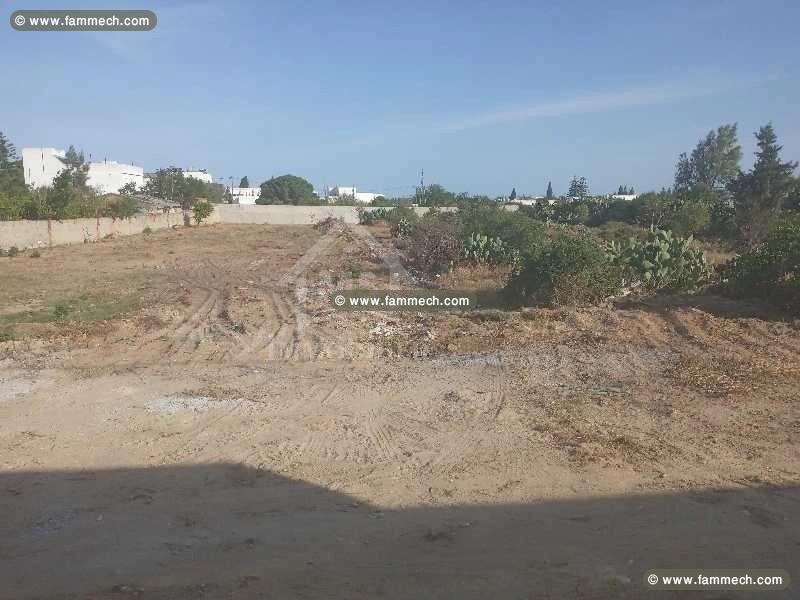 Un terrain de 1380 m² à vendre à Hammamet 51355351