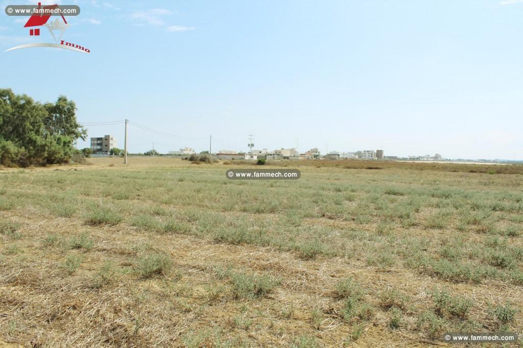Un Terrain de 179 m² 