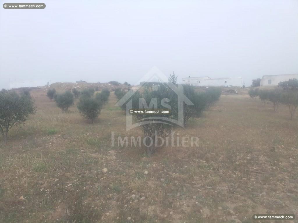 Un terrain de 2.5 hectares avec 3 maisons à vendre