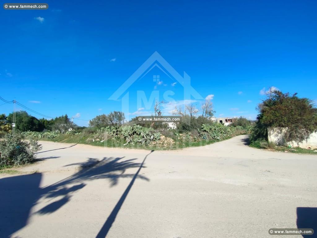 Un terrain de 210 m² à vendre à Hammamet 51355351