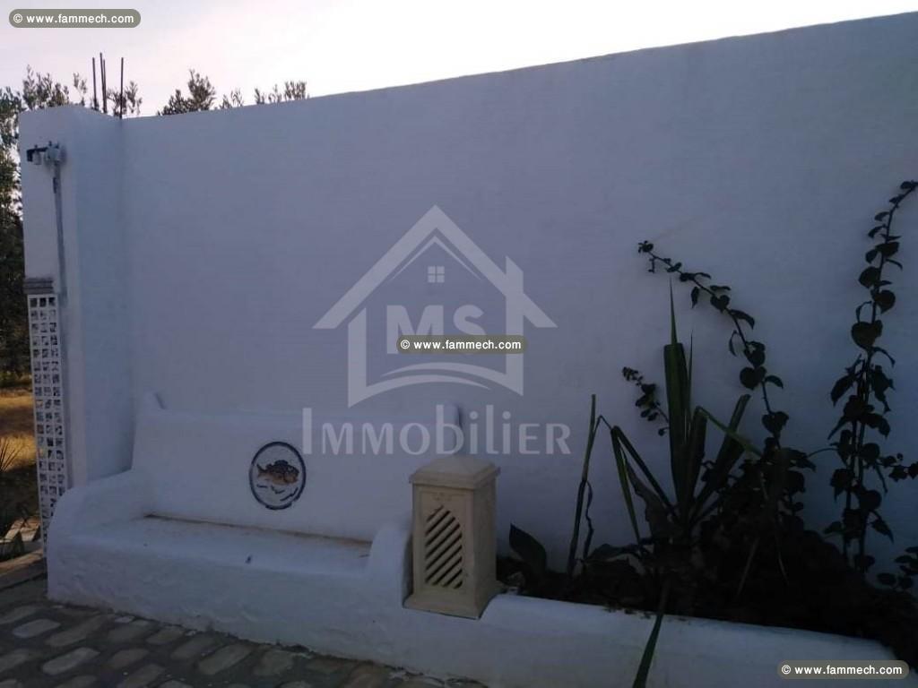 Un terrain de 3000 m² à vendre à Hammamet Sud 