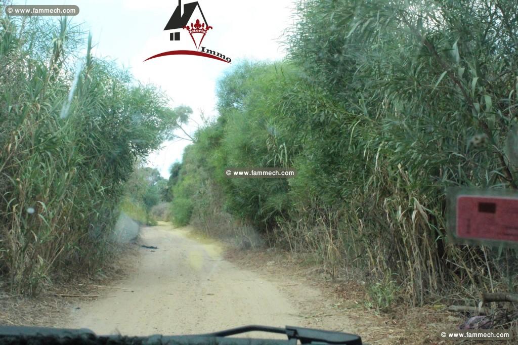 un terrain de 331 mètre carré