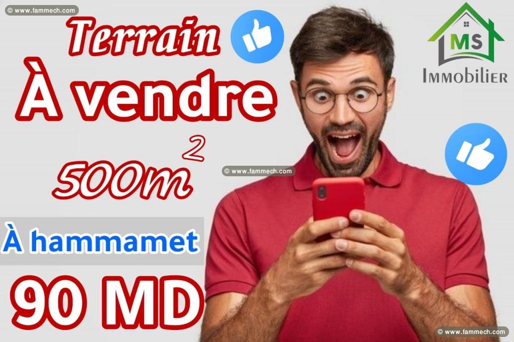 Un terrain de 500 m² à vendre à 90 MD 51355351