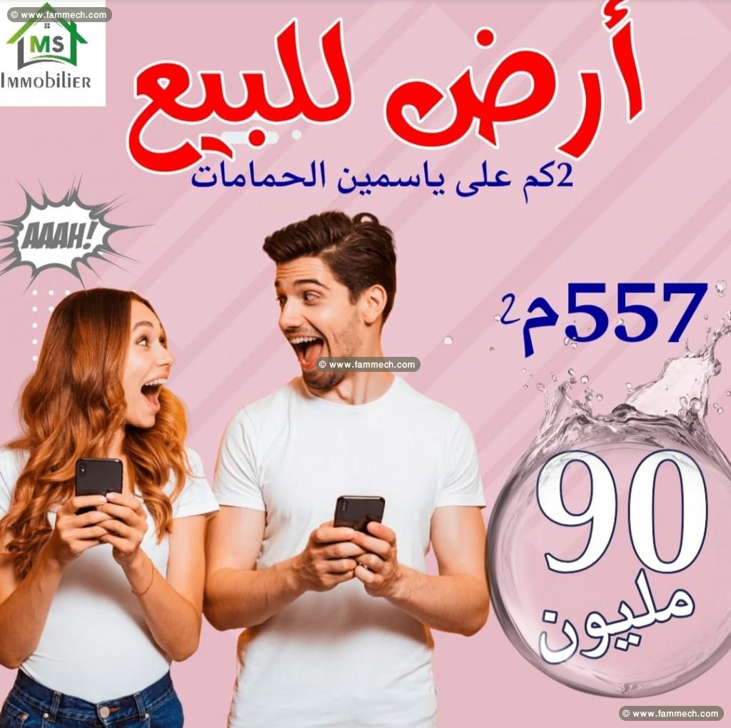 un terrain de 557m² à 90MD à HAMMAMET SUD 51333131