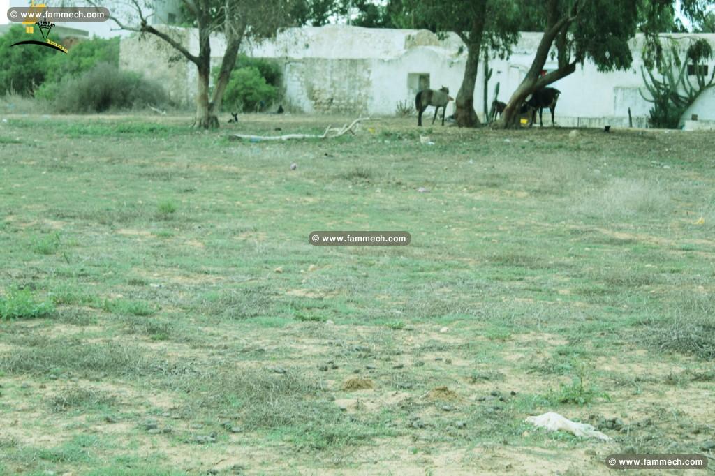 Un terrain de 6000 m² à Kerkouane _Dar allouche