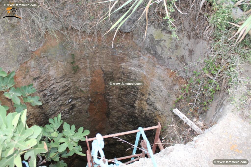 Un terrain de 6000 m² à Kerkouane _Dar allouche
