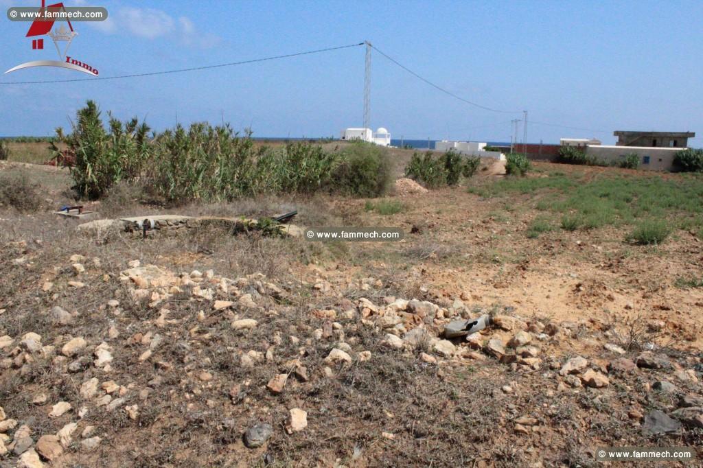 Un Terrain de 7000 m² à Borj Salhi_ Kélibia