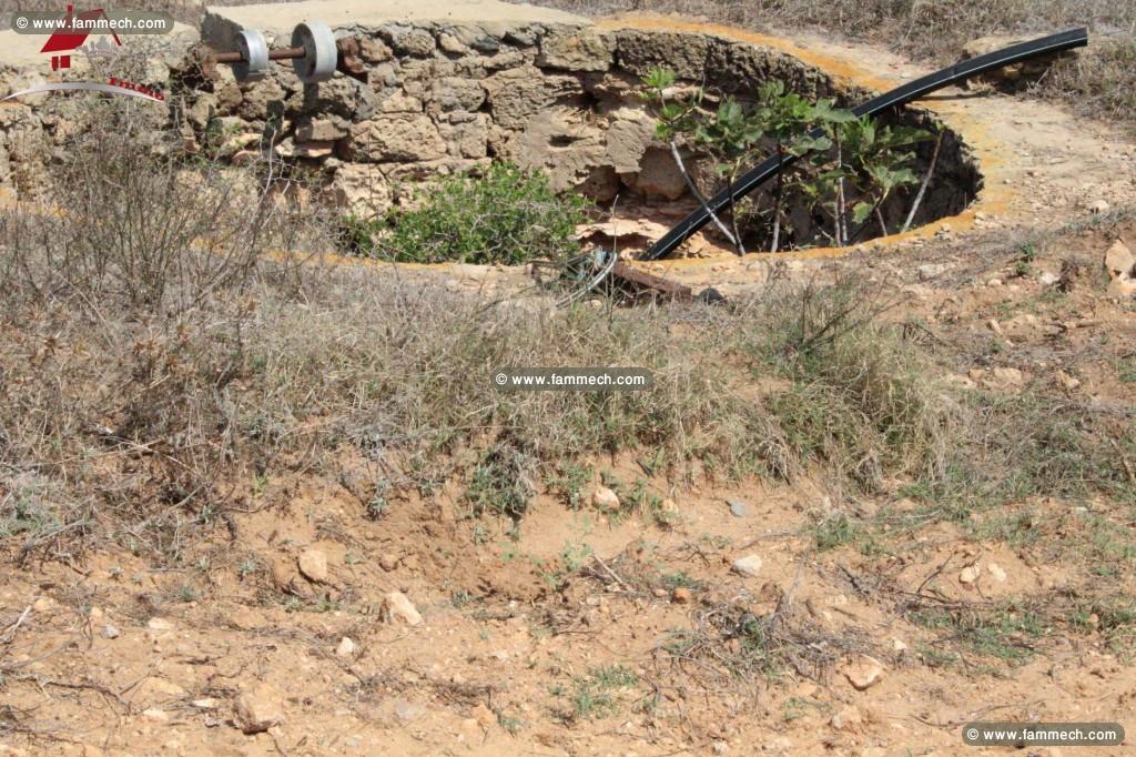 Un Terrain de 7000 m² à Borj Salhi_ Kélibia