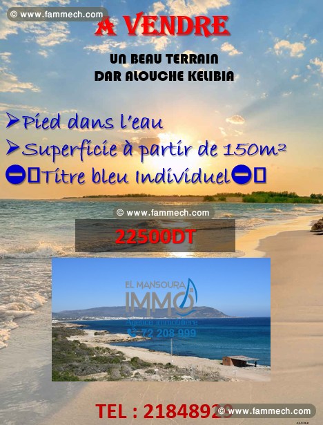 un terrain pieds dans l'eau