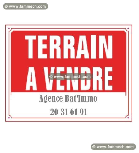 Une Bonne Opportunité pour Promoteur Immobilier