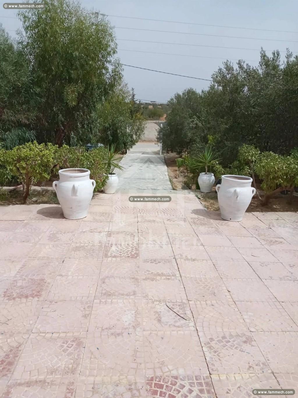 Une villa à vendre à Hammamet Sud 51355351