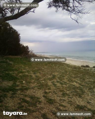 Une villa de charme Plage Rojiche MAHDIA