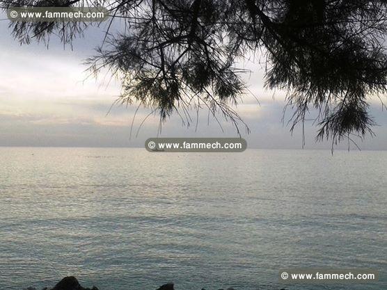 Une villa de charme Plage Rojiche MAHDIA