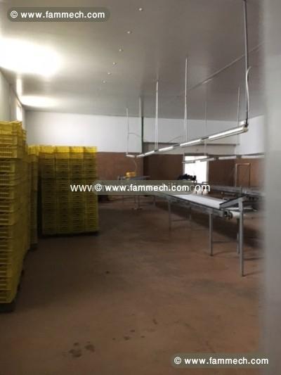 usine cap bon AV640 nabeul 