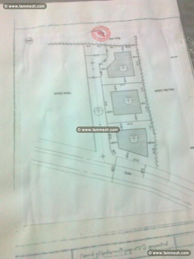 Vente de 3 lots