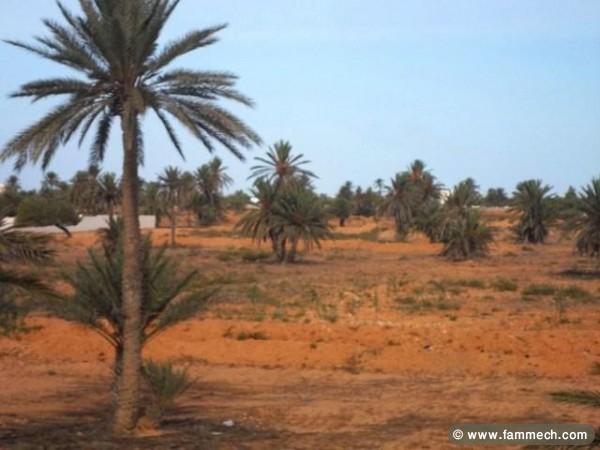 Vente et achat immobiliers Djerba Tunisie chams8
