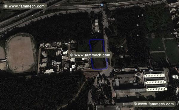 vente terrain