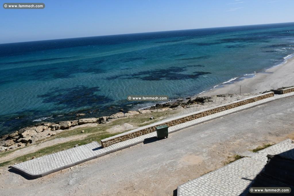 vente terrain