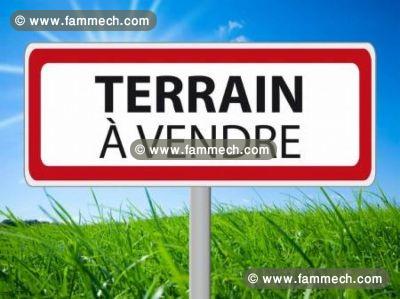 Vente terrain 500 m2 CITE LES PINS LA MARSA