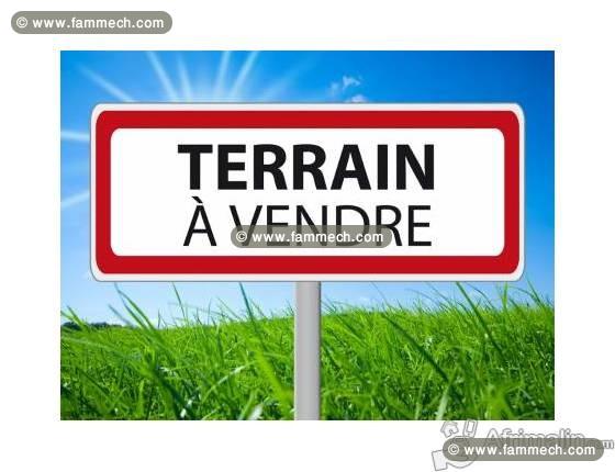 vente terrain à kerkouan