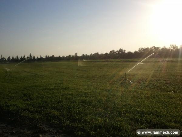 vente terrain agricole à kalaat el andalous