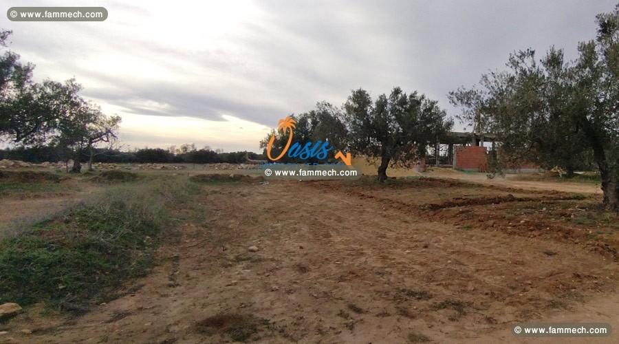 Vente Terrain El Yasmine 