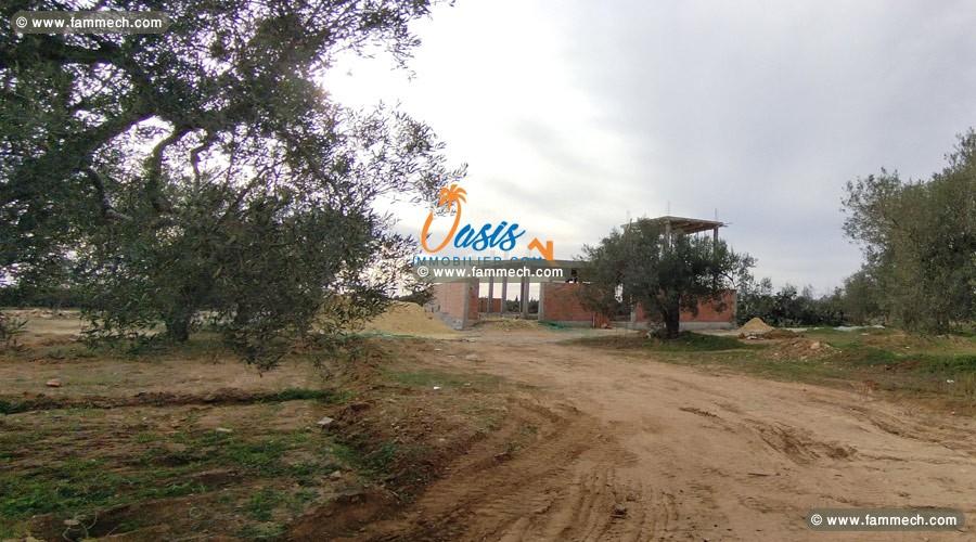 Vente Terrain El Yasmine 