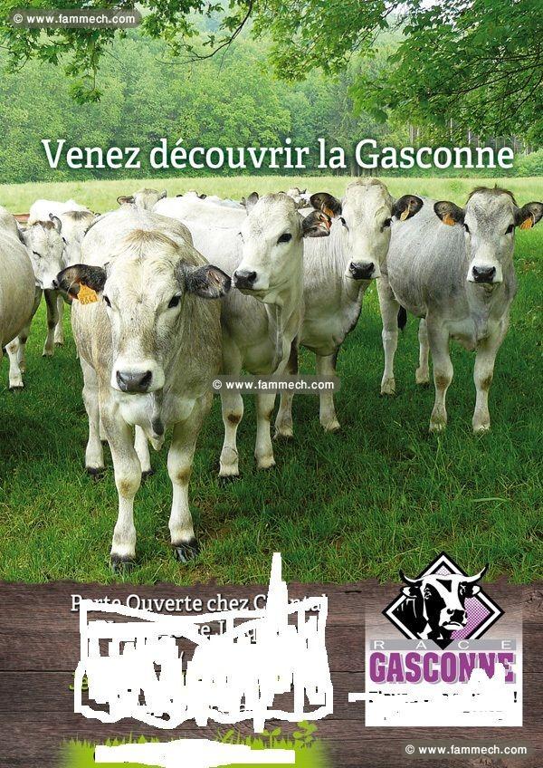 vente veaux charolais 
