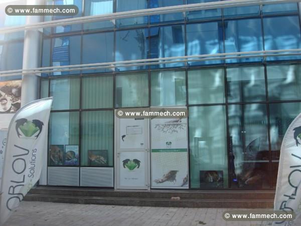 Ventre Centre FISH SPA