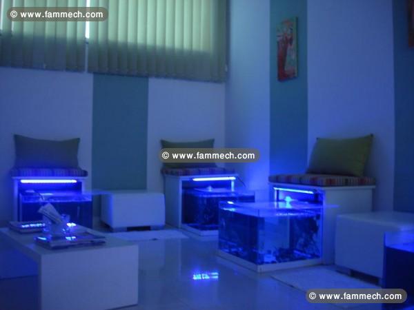 Ventre Centre FISH SPA