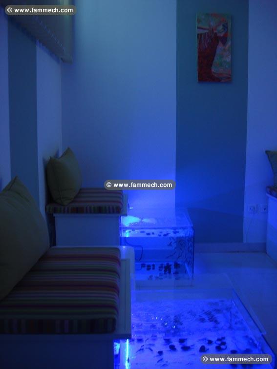 Ventre Centre FISH SPA