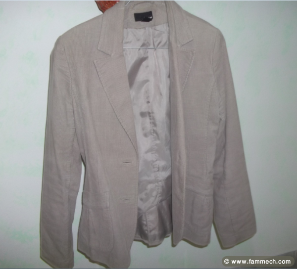 Veste Grise Chic H&M
