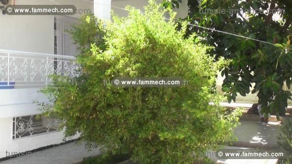 Villa 170 m2 avec cave 20 m2 sur terrain 450 m2