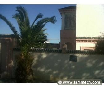 villa a vendre à gammarth 